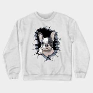 Boston Terrier in a Wall Crewneck Sweatshirt